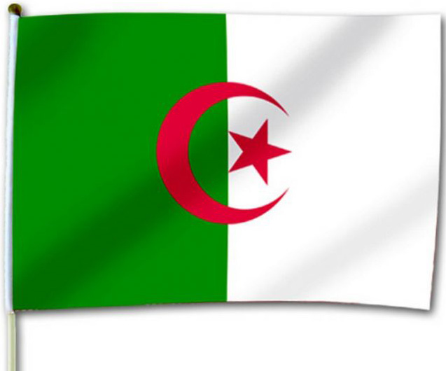Drapeau de supporter Algérie 30x46cm