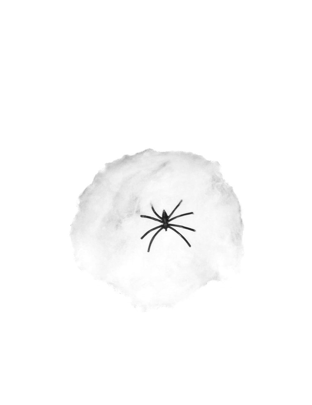 Araignée avec sa toile Halloween