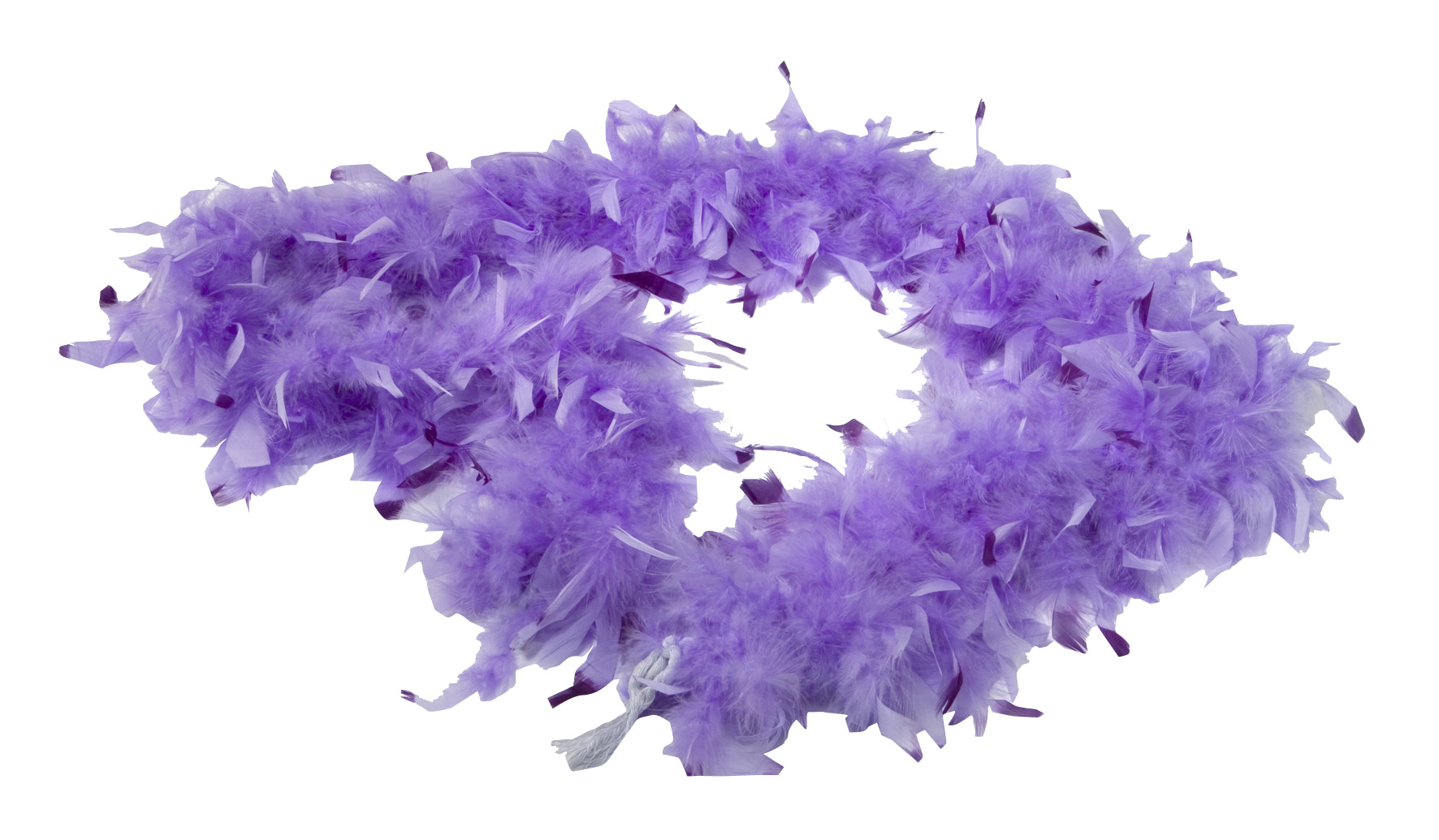 Boa violet