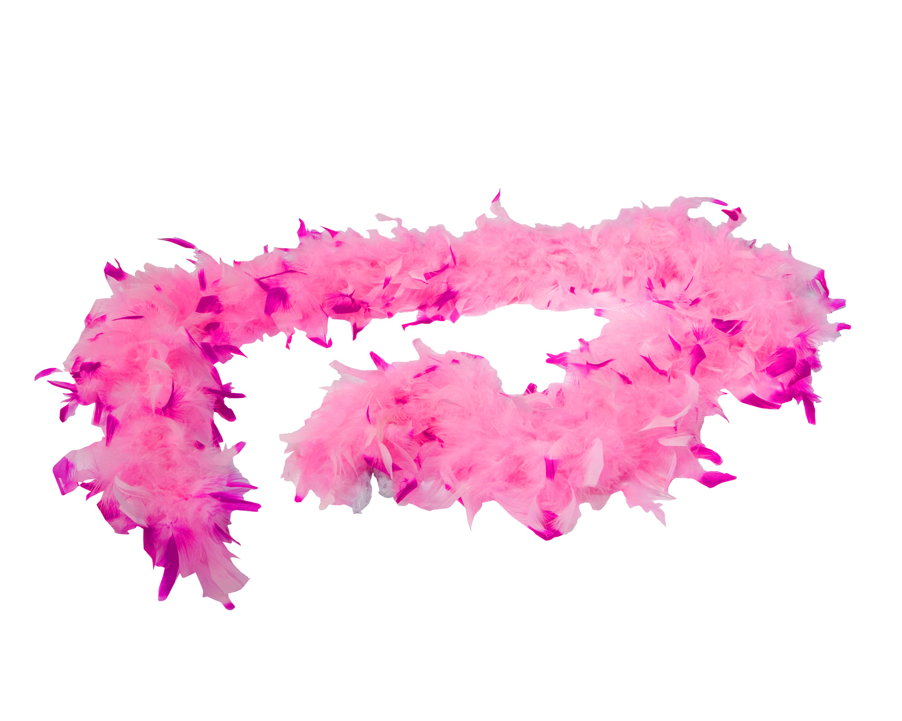 Boa rose