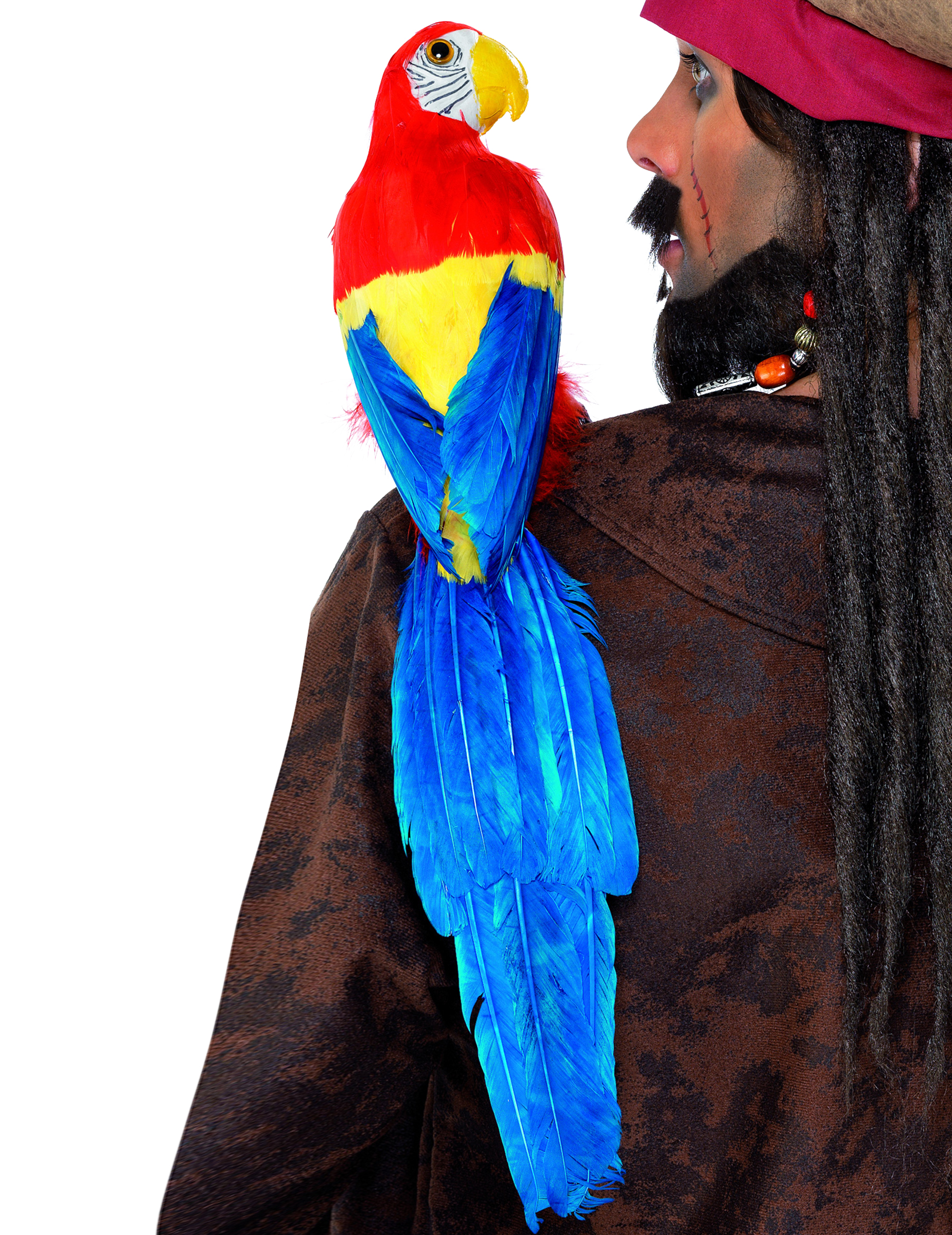 Perroquet de pirate
