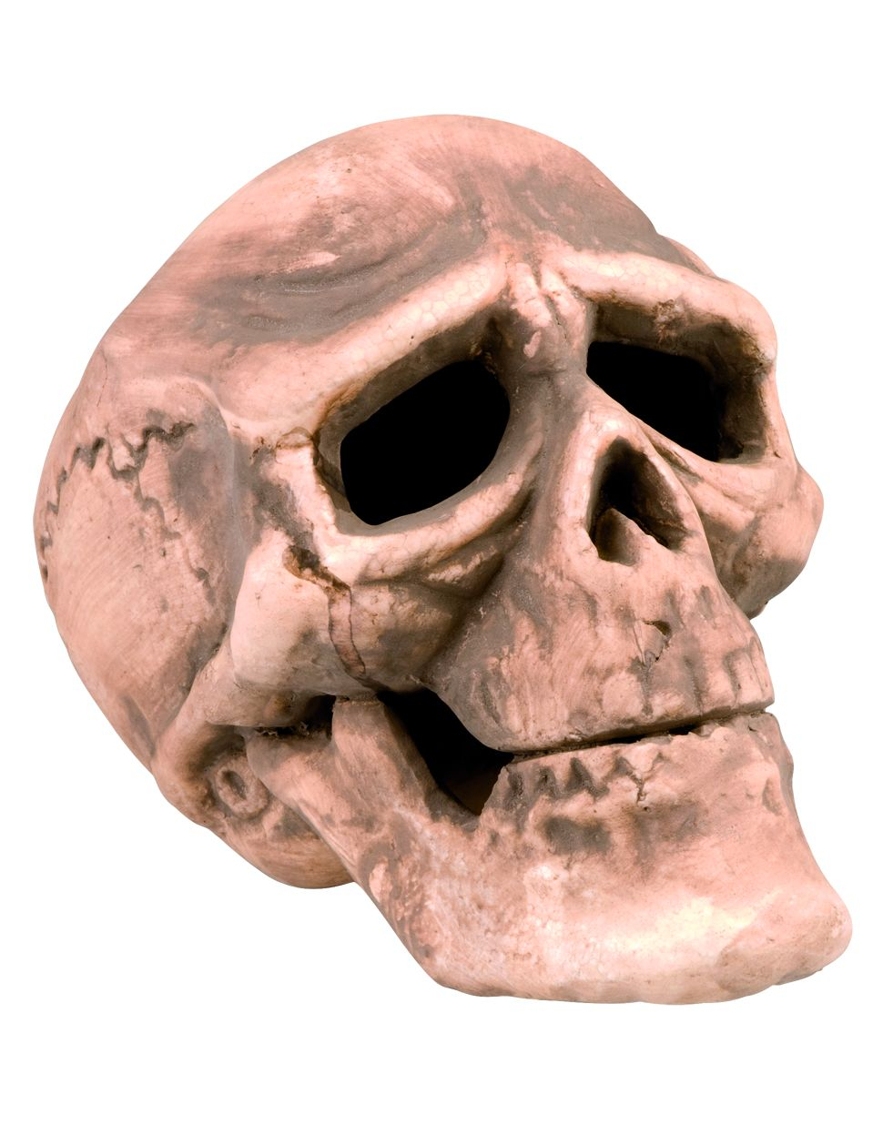 Tête de mort 22 cm