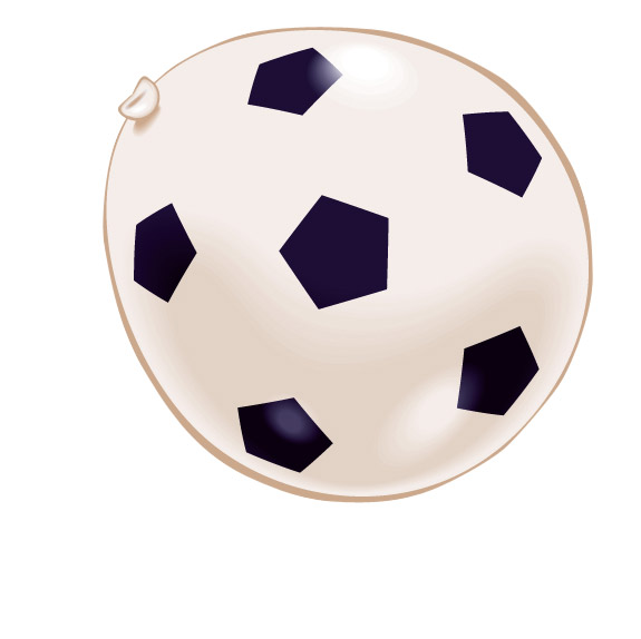 8 Ballons football