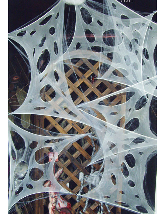 Décoration toile d'araignée
