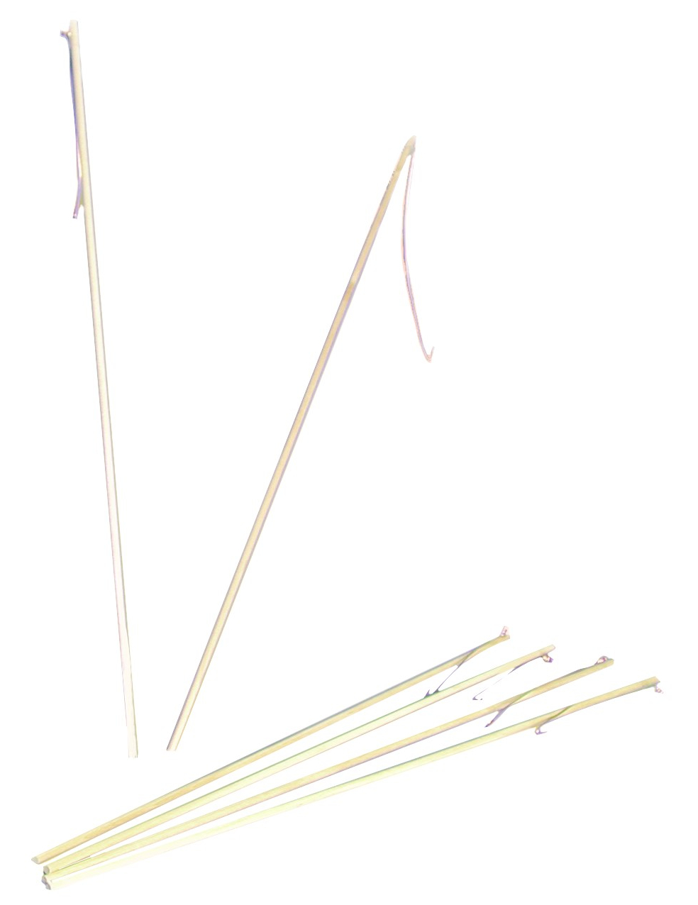 Baton lanterne