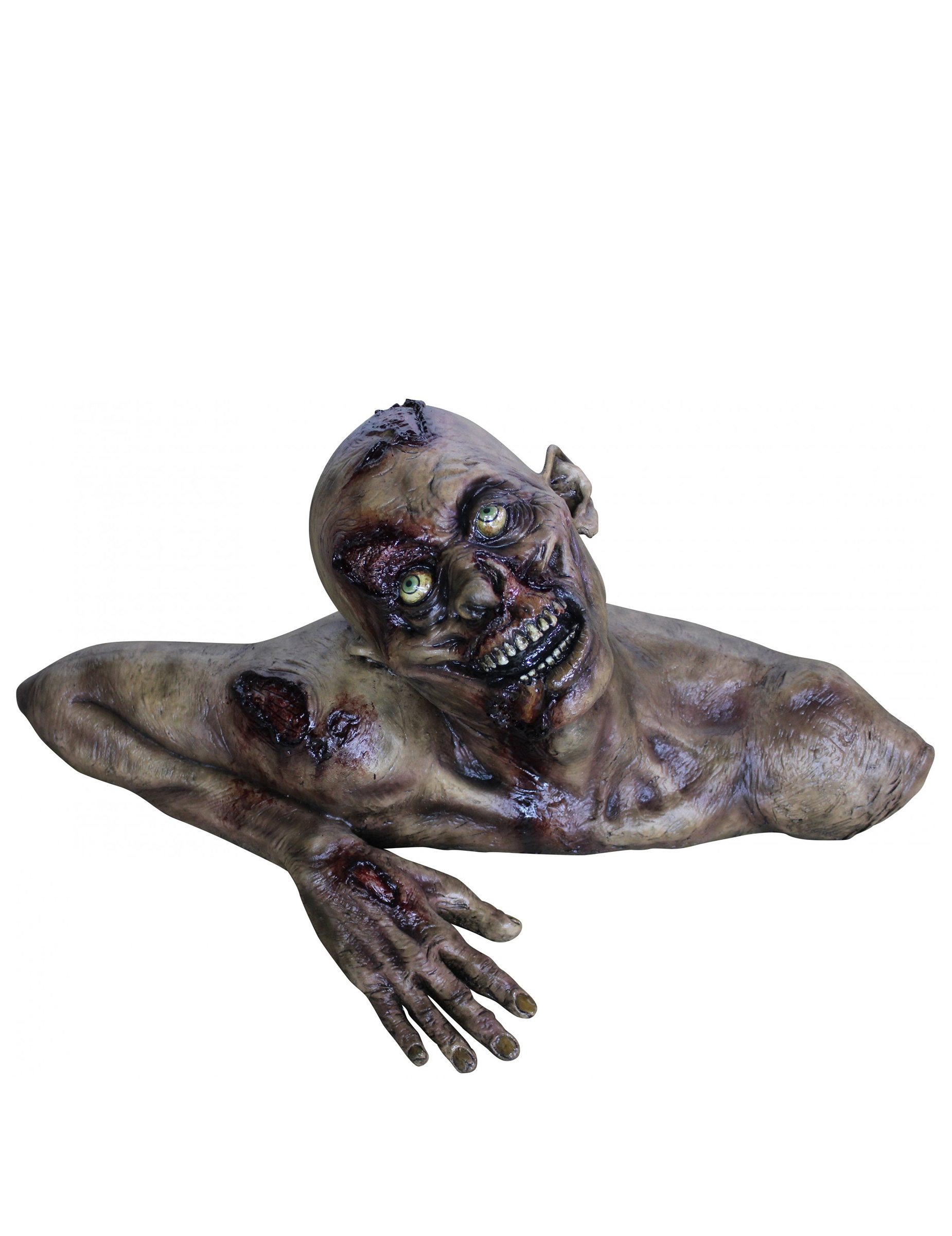 Buste zombietaille réelle Halloween en décor