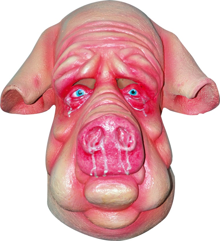 Masque cochon adulte