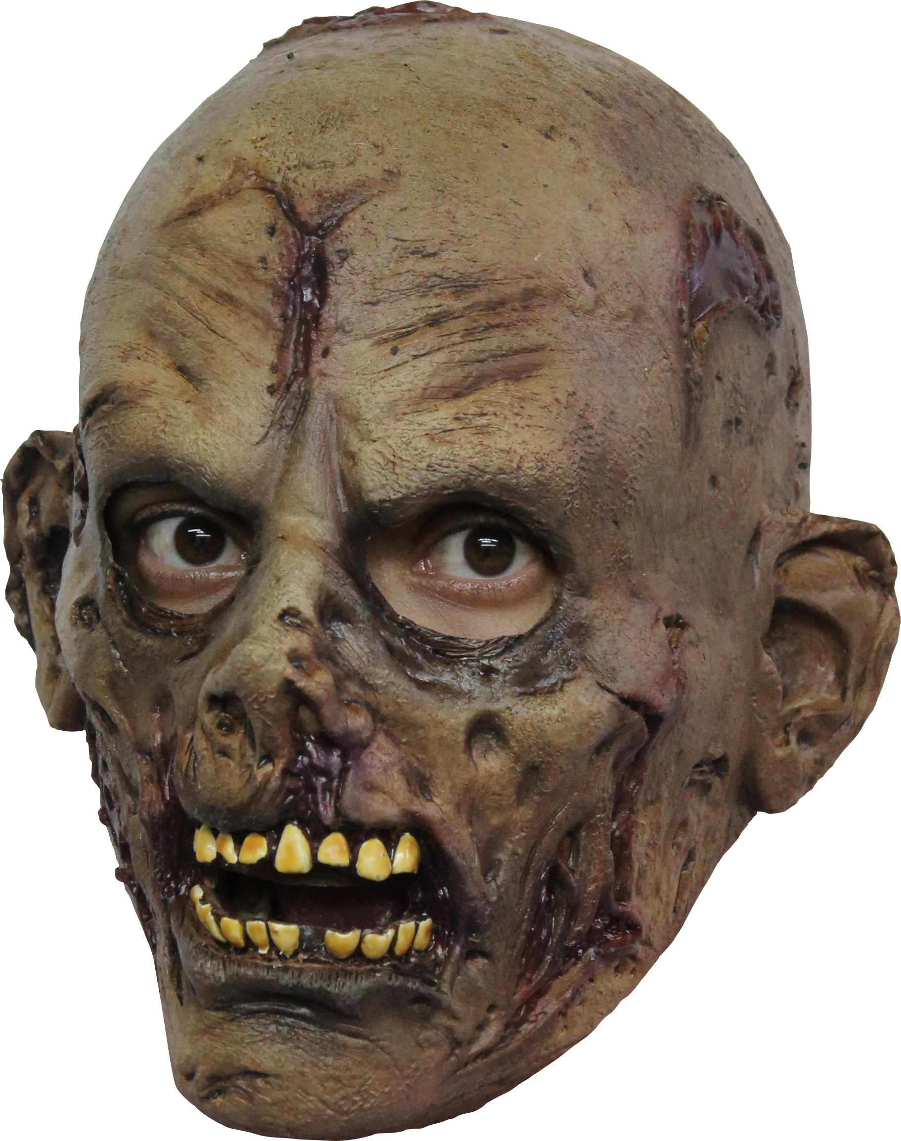 Masque mort-vivant adulte Halloween