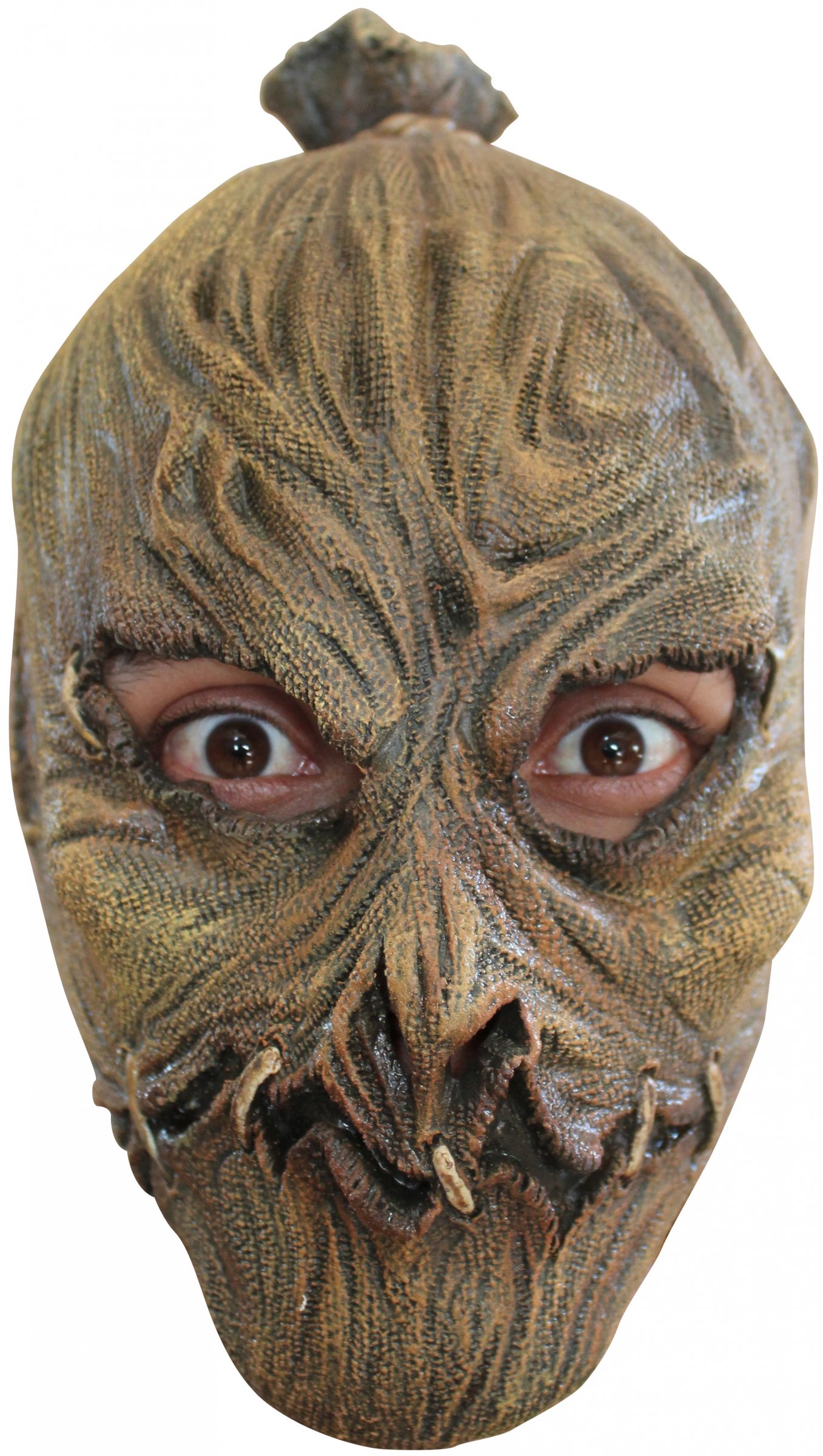 Masque épouvantail adulte Halloween