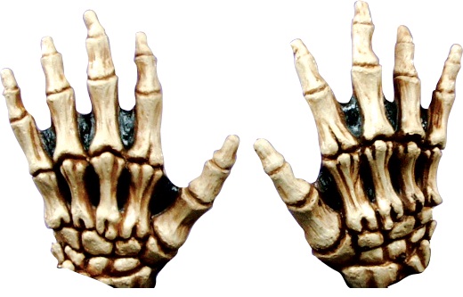Gants squelette jaune adulte Halloween
