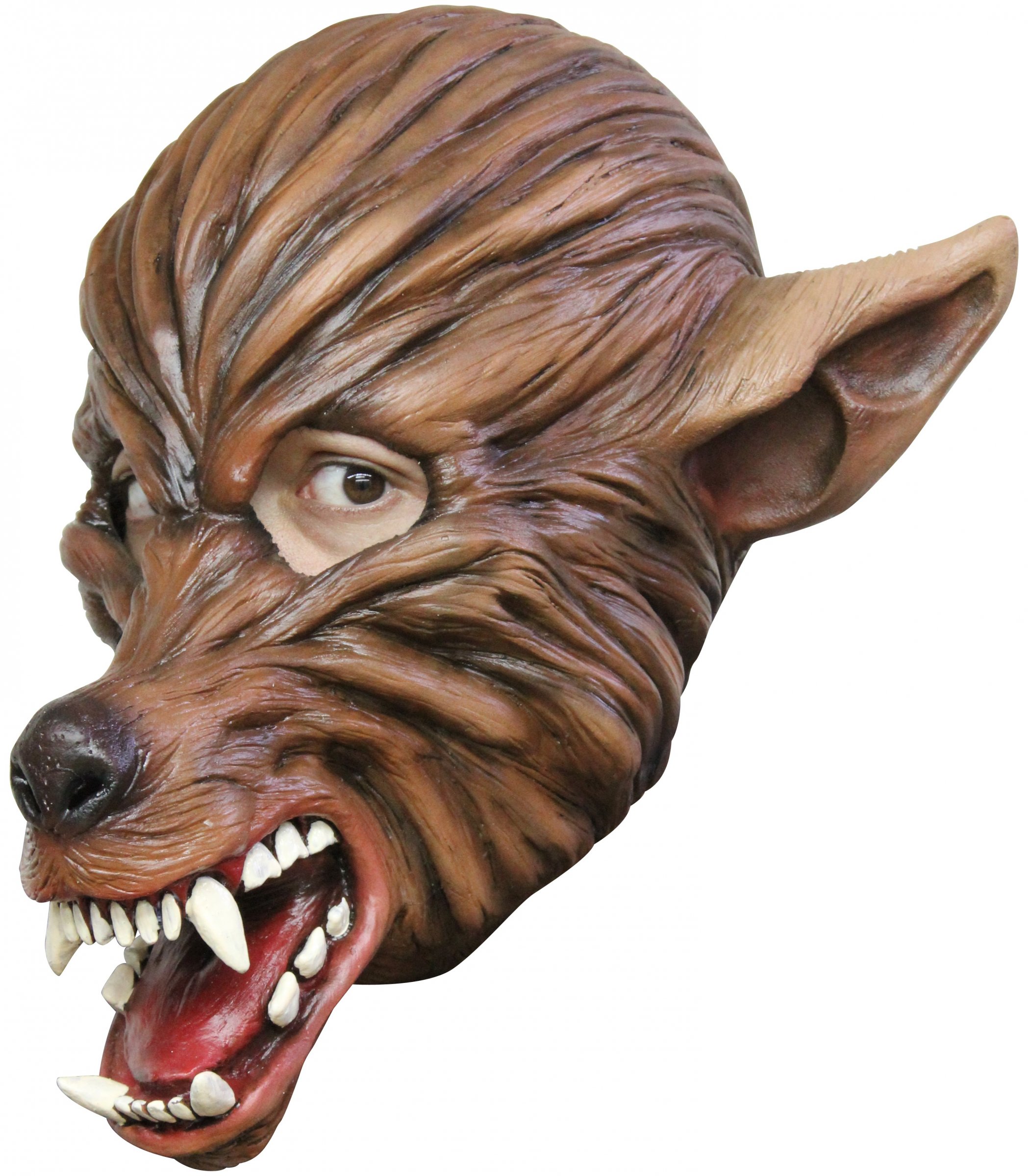 Masque loup garou adulte Halloween
