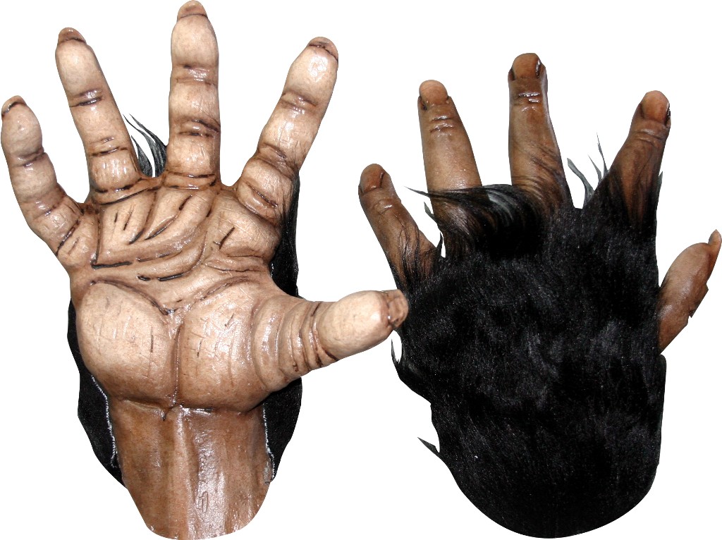 Gants gorille adulte marron
