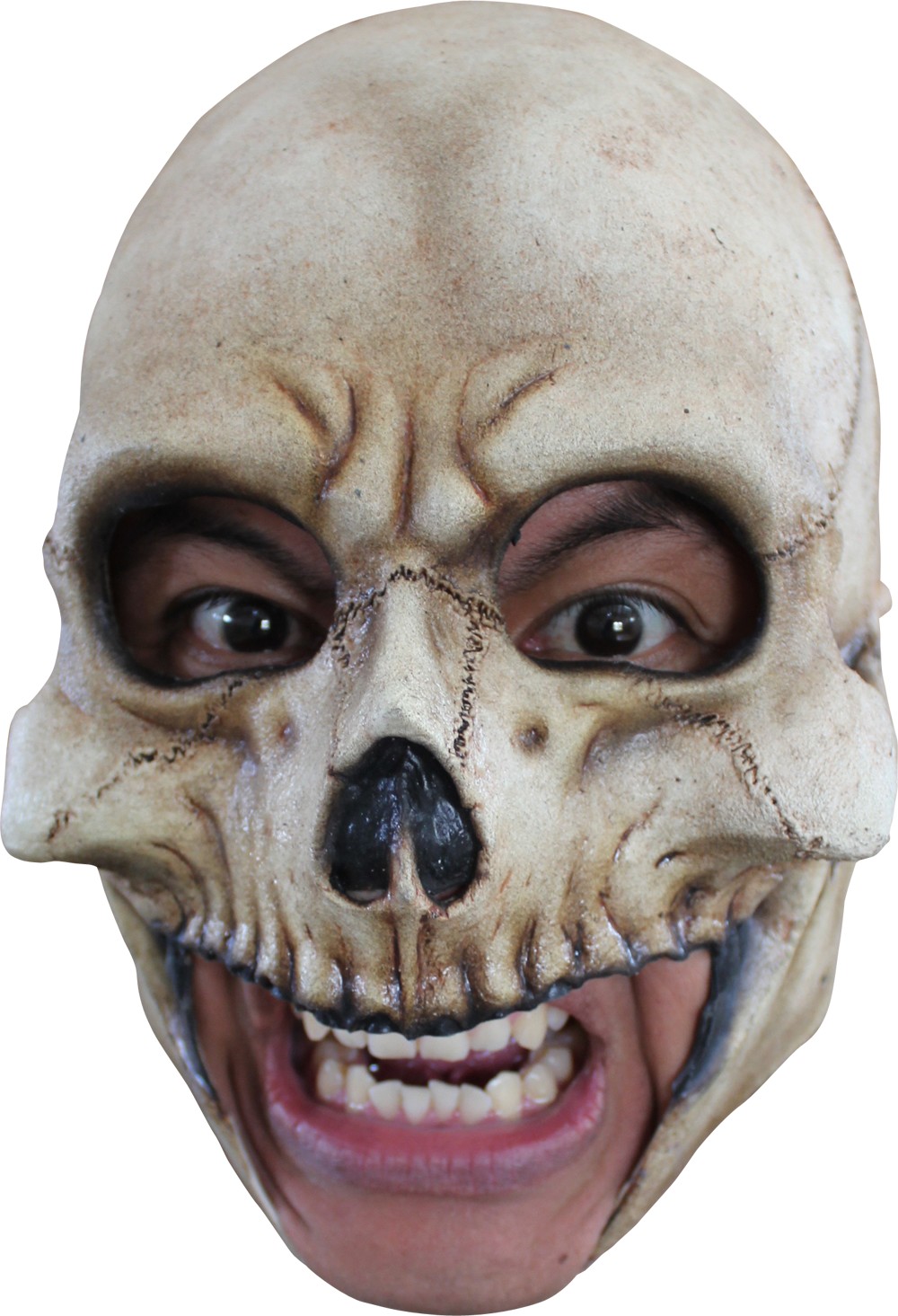 Masque crâne adulte Halloween