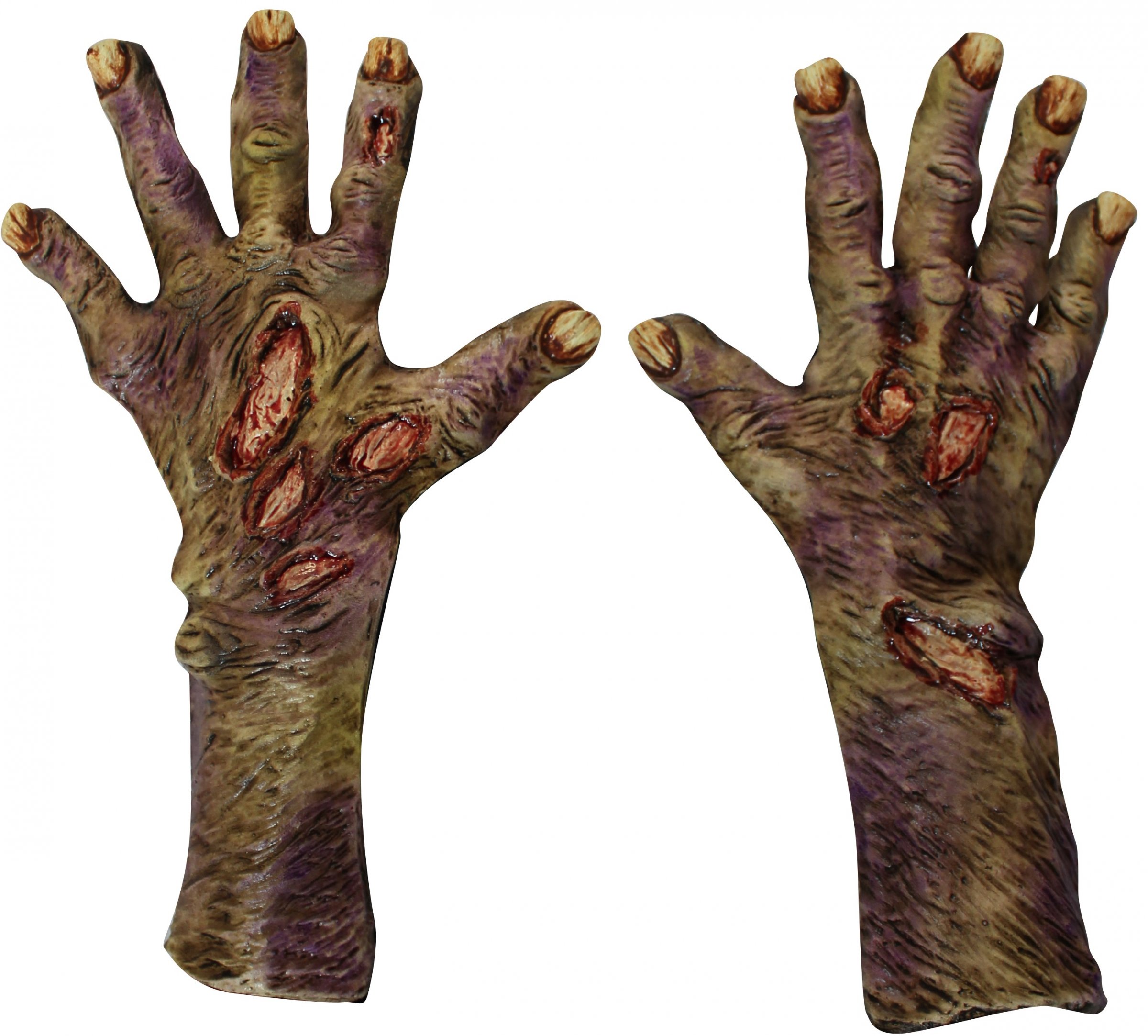 Gants zombie décomposé adulte