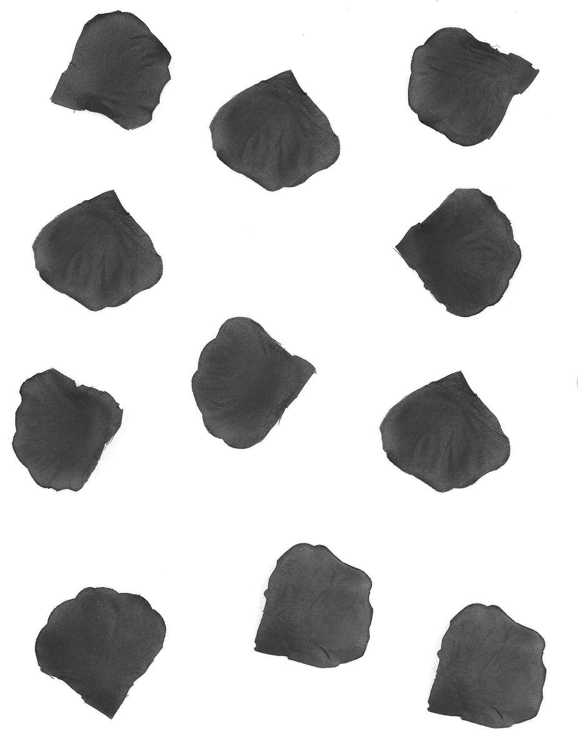 100 Pétales de rose en tissu noir 5 cm