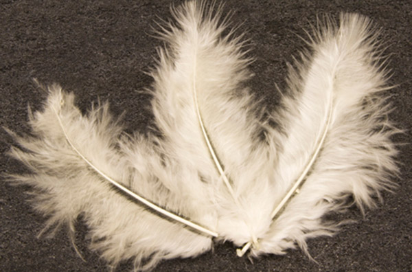 20 Plumes de décoration ivoire 5,5 cm