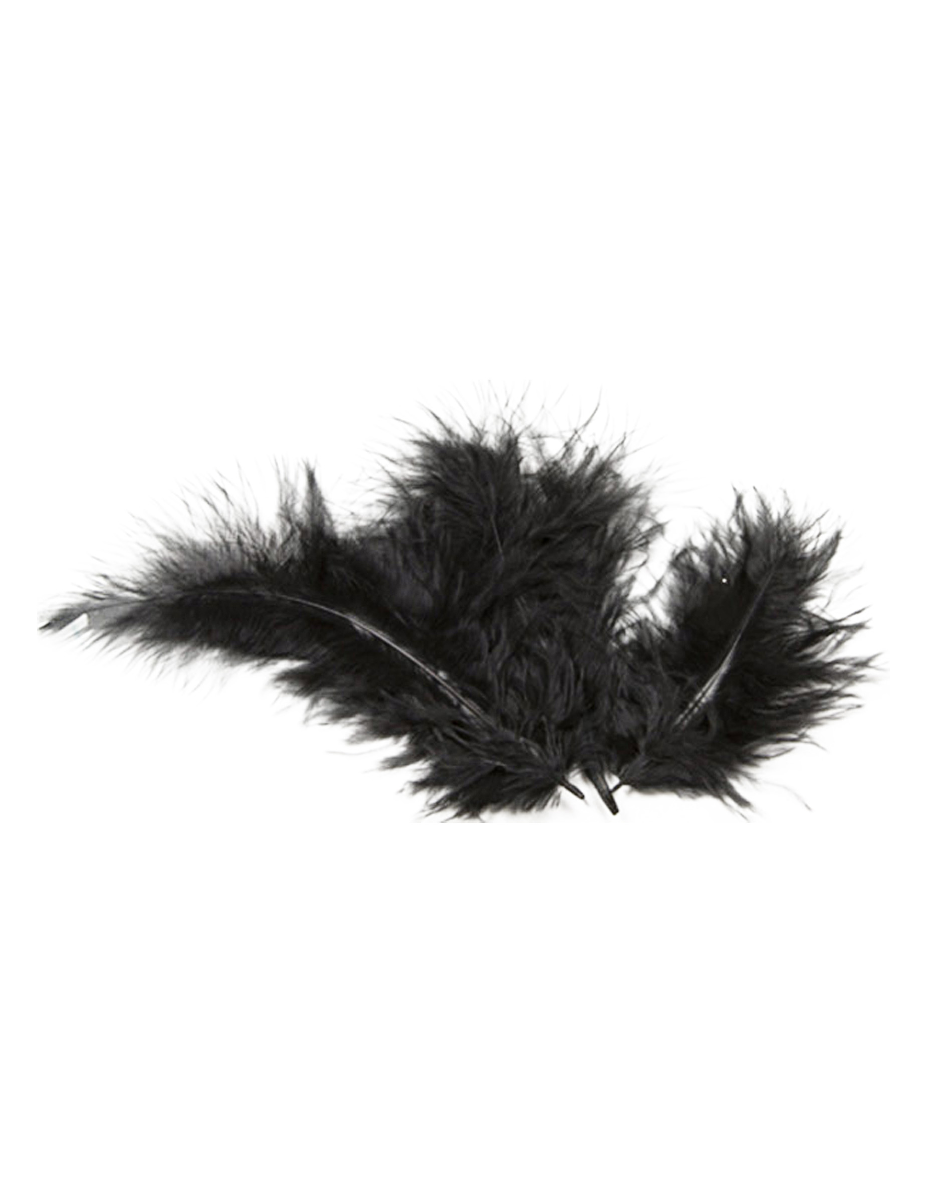 20 Plumes de décoration noires 5,5 cm