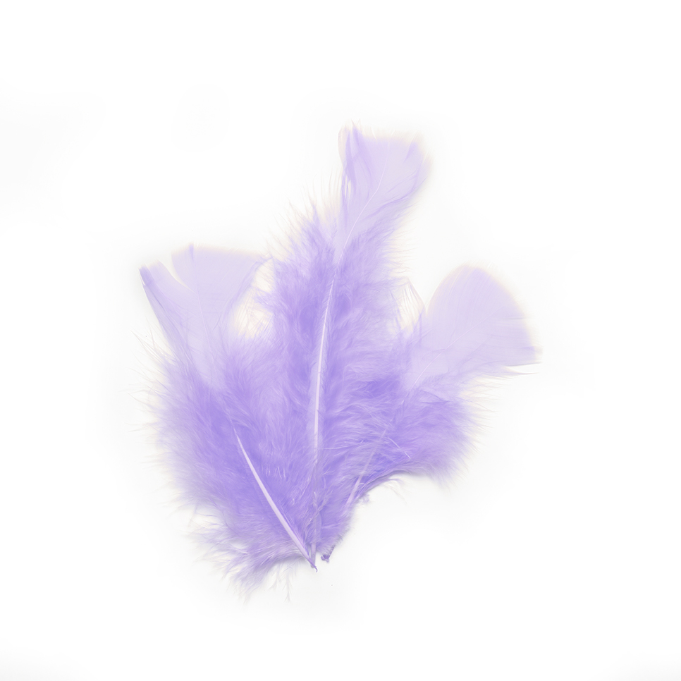 20 Plumes de décoration parme 5,5 cm