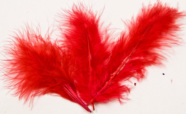 20 Plumes de décoration rouges 5,5 cm