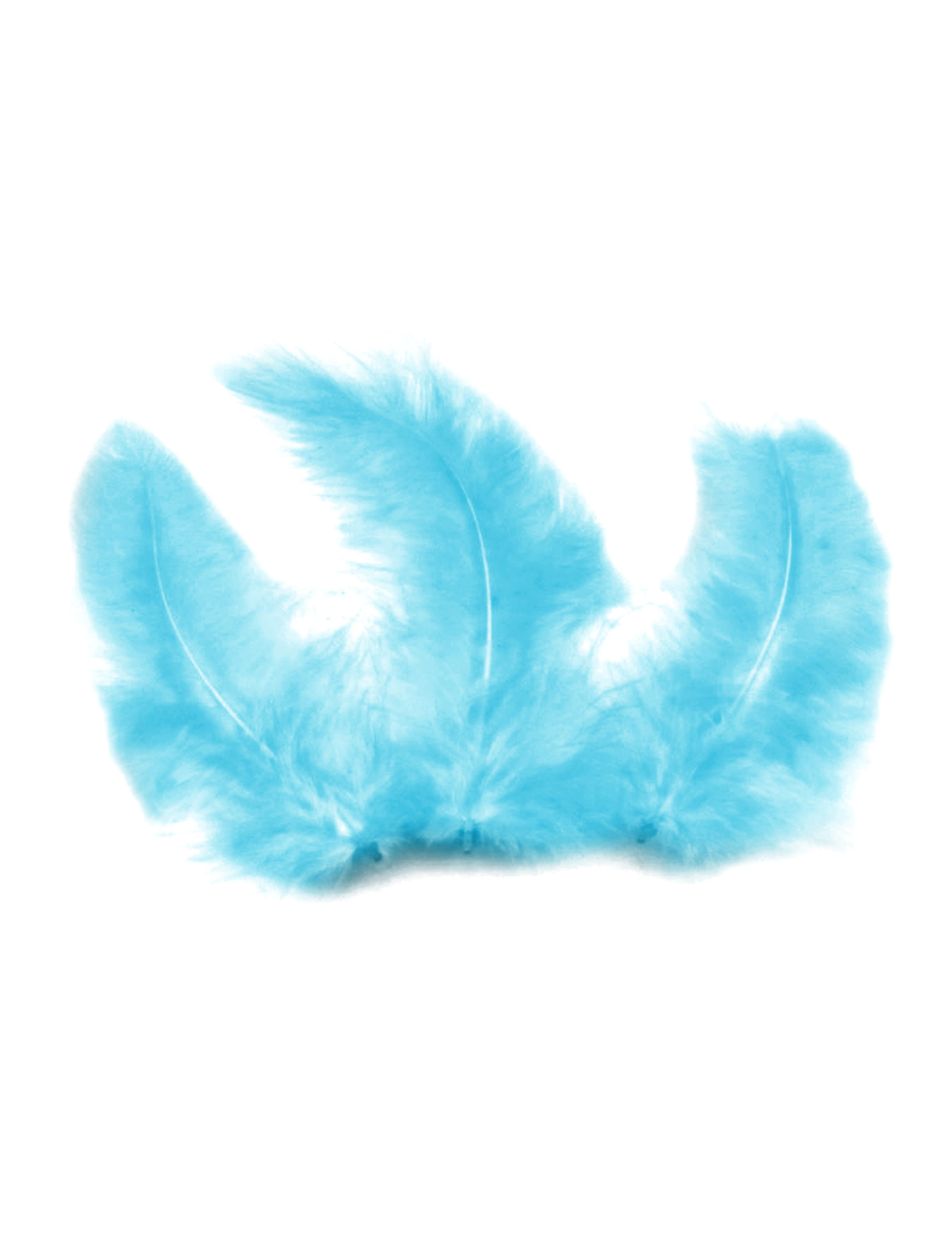 20 Plumes de décoration turquoise 10 cm