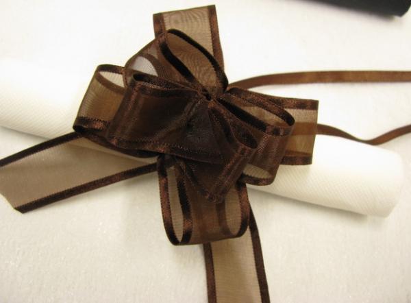 6 noeuds à tirer en organza marron