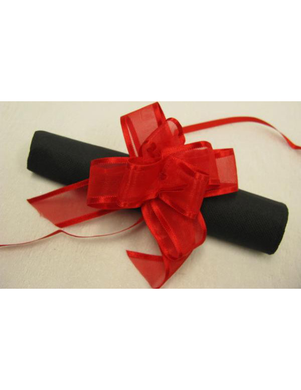 6 N uds à tirer en organza rouges 10 cm