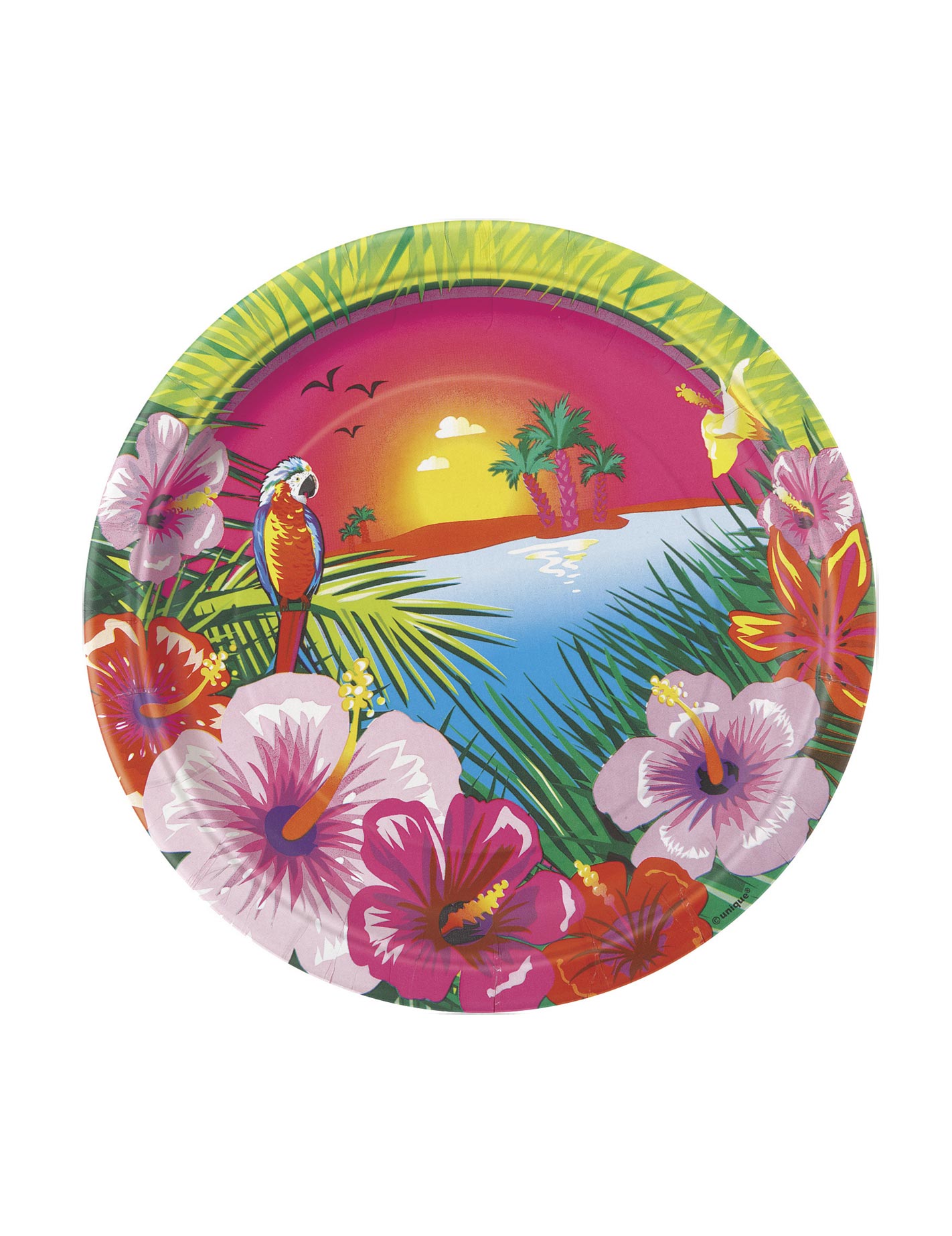 8 Petites assiettes en carton Aloha