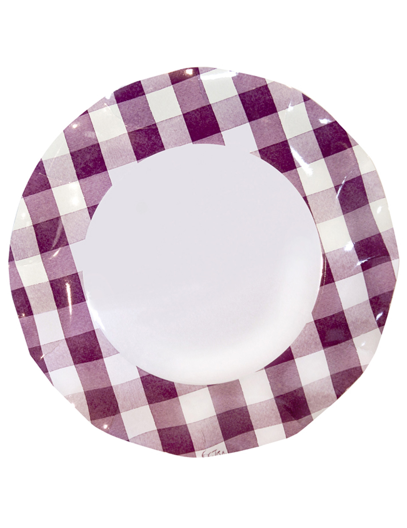 10 Assiettes vichy prune rondes en carton 27 cm