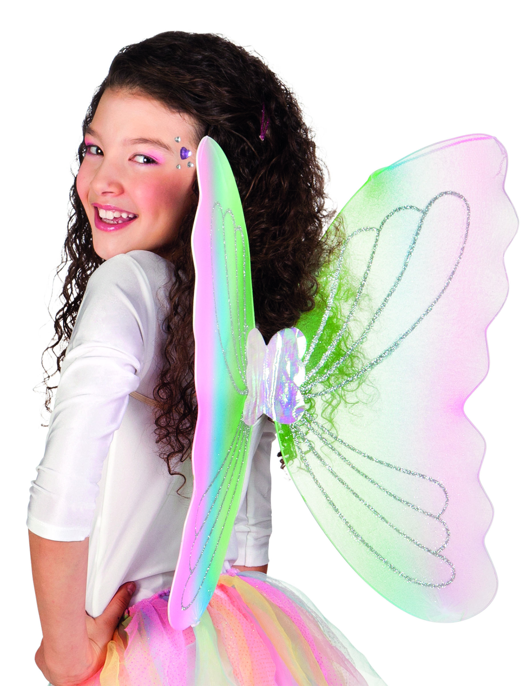 Ailes papillon multicolore