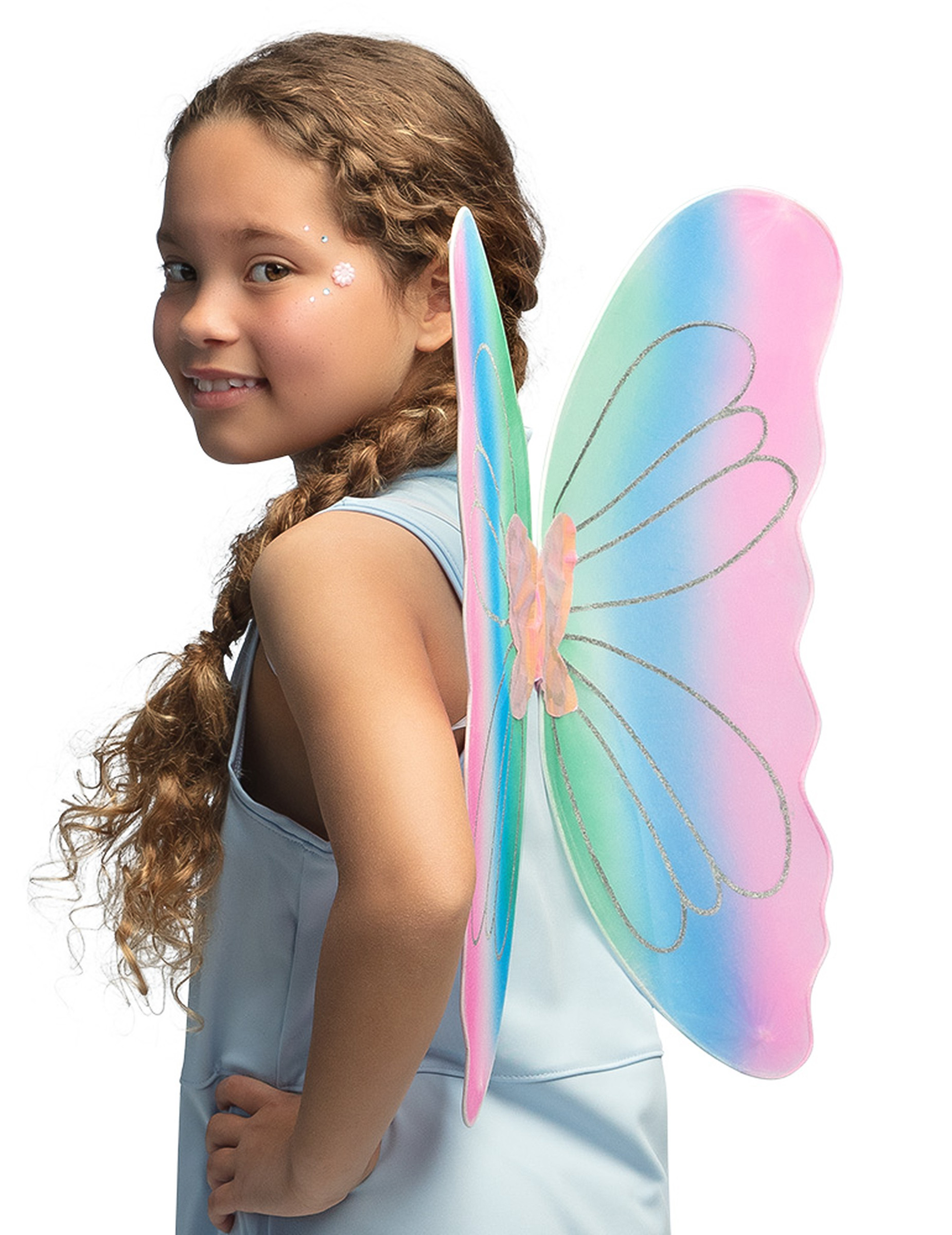 Ailes papillon multicolore