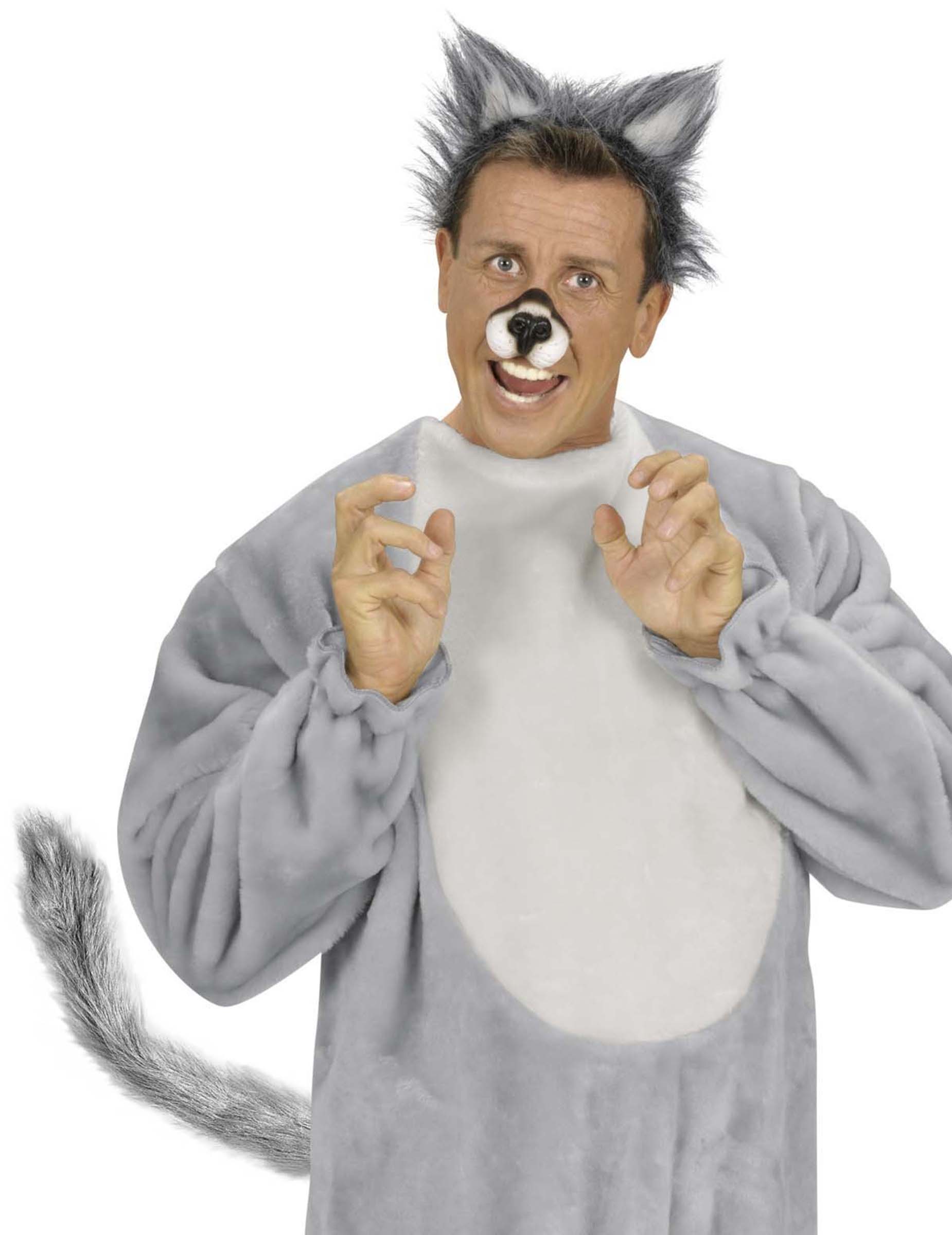 Queue de loup adulte