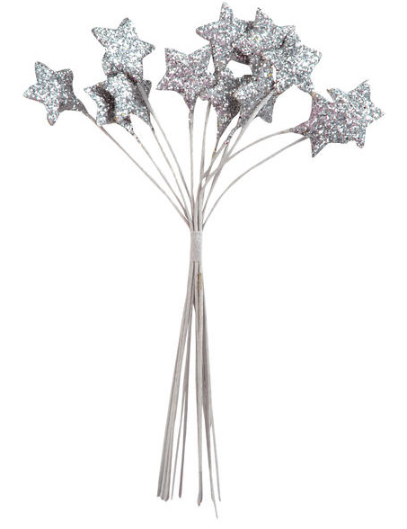Bouquet 12 étoiles Argent