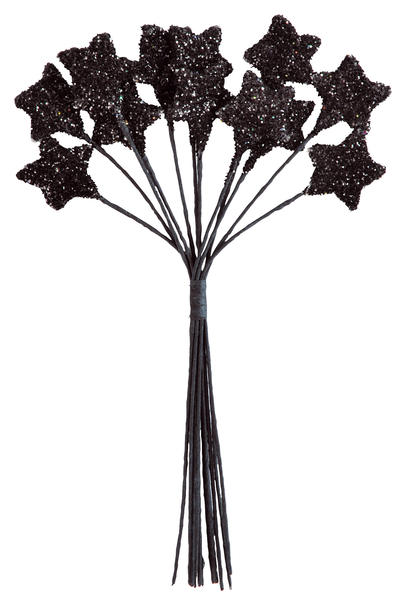 Bouquet 12 étoiles Noir