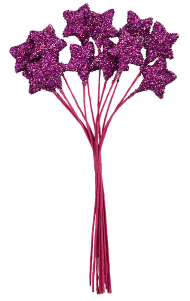 Petit bouquet 12 étoiles Fuchsia 11 cm