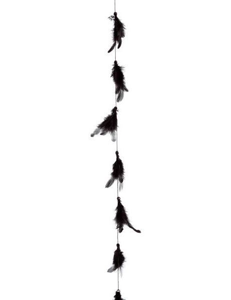 Guirlande de plumes noires