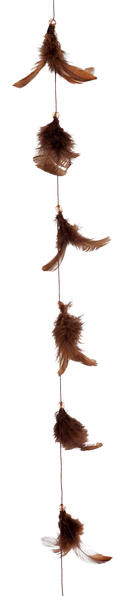 Guirlande plume Chocolat
