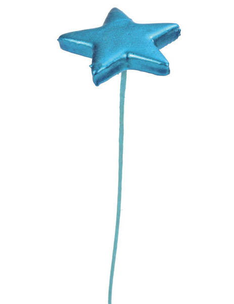 2 Etoiles brillante sur tige Turquoise