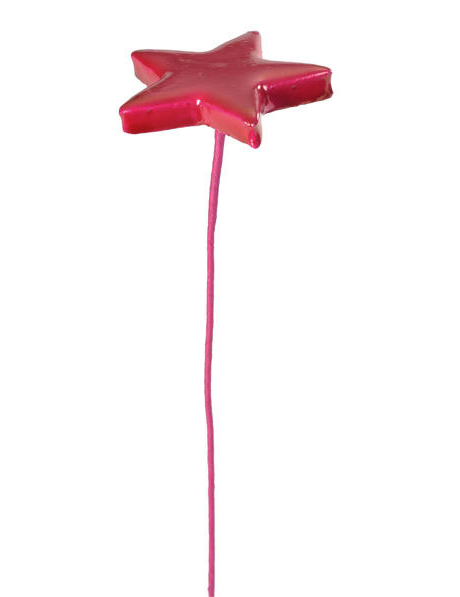 2 Etoiles brillante sur tige Fuchsia