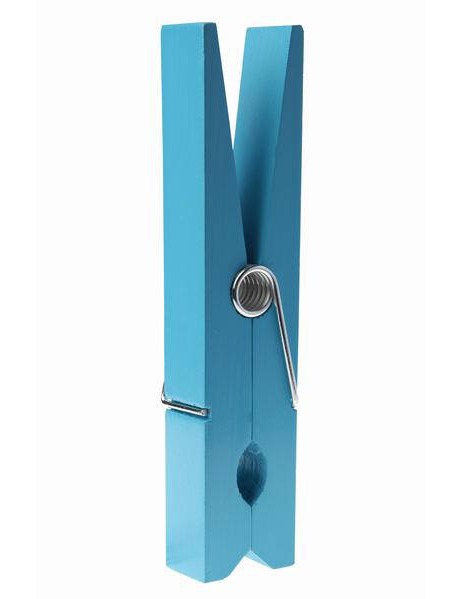 Maxi pince Turquoise