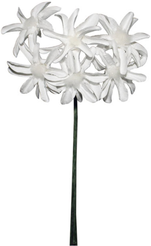 12 attaches fleurs blanches (Dia. 4 cm)