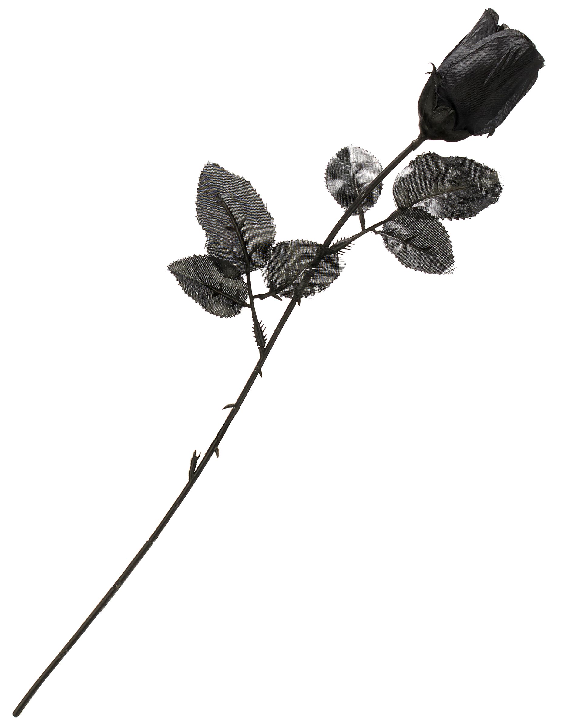Rose noire