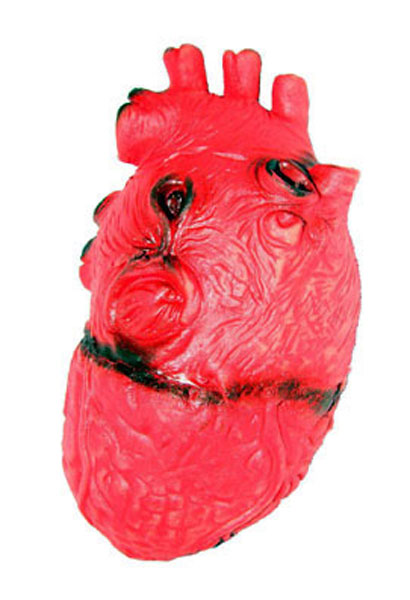 Coeur plastique
