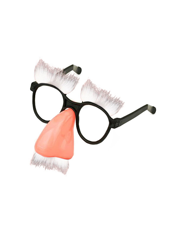 Lunettes avec nez et moustaches