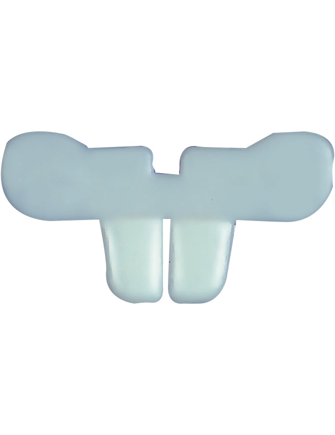 Dentier lapin adulte