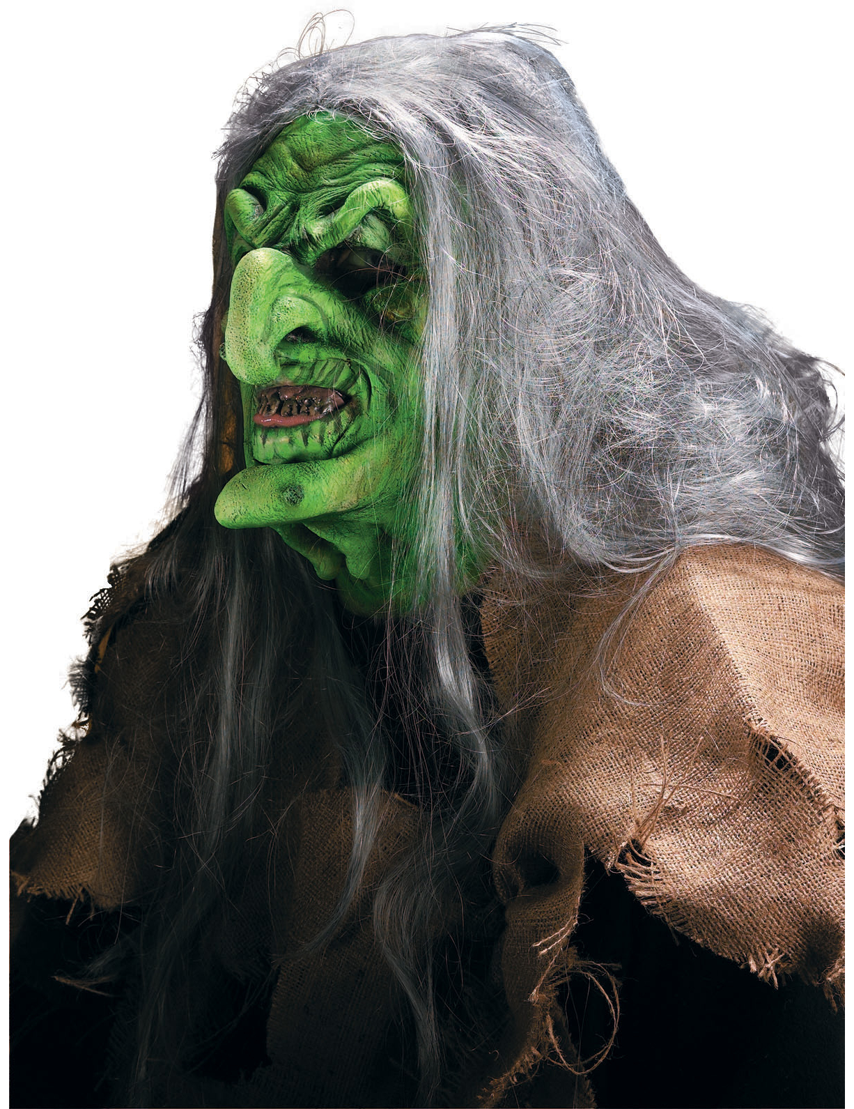 Maquillage masque de Sorcière des marais Halloween adulte