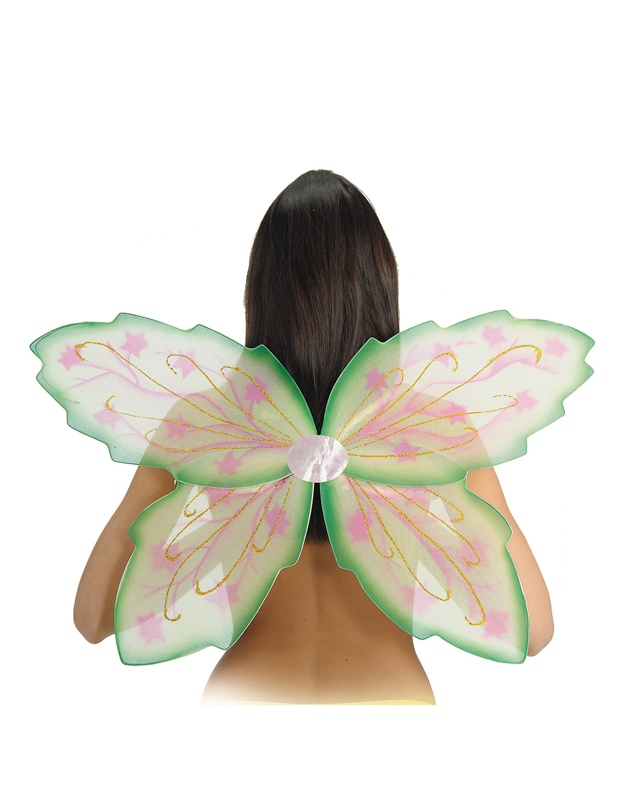 Ailes vertes papillon adulte
