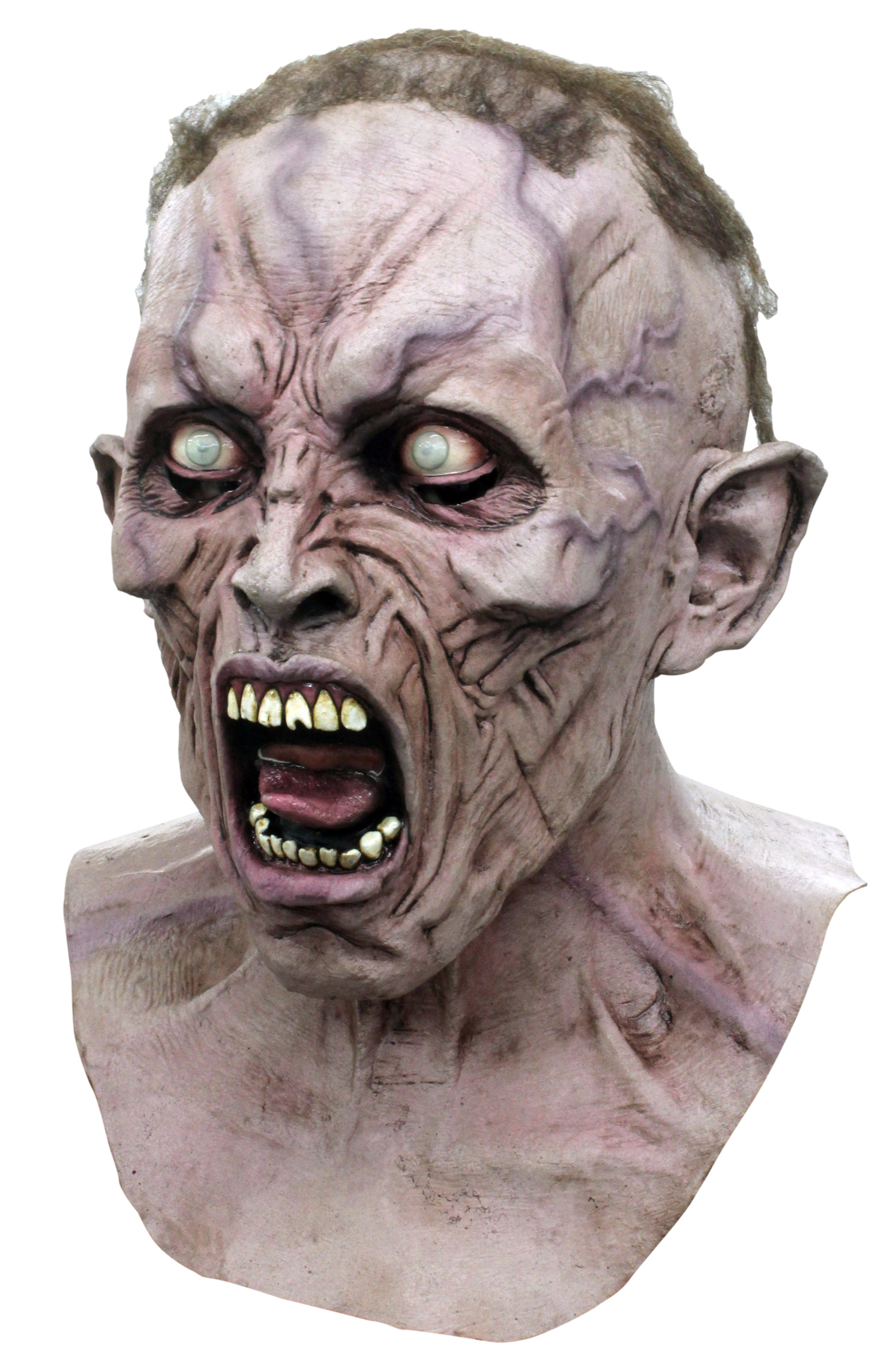 Masque intégral zombie World War Z