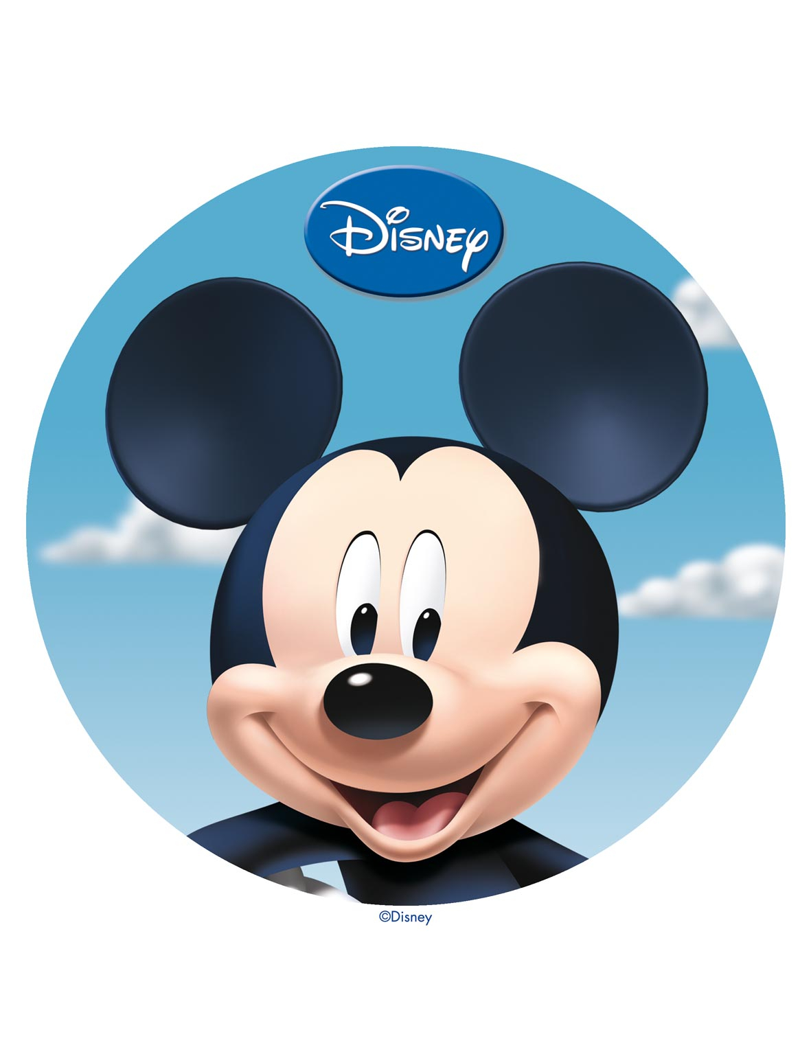 Disque azyme 20 cm Mickey