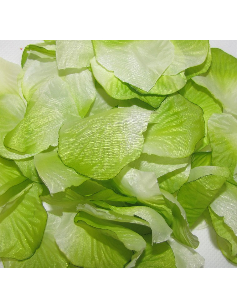 144 Pétales en tissu vert anis