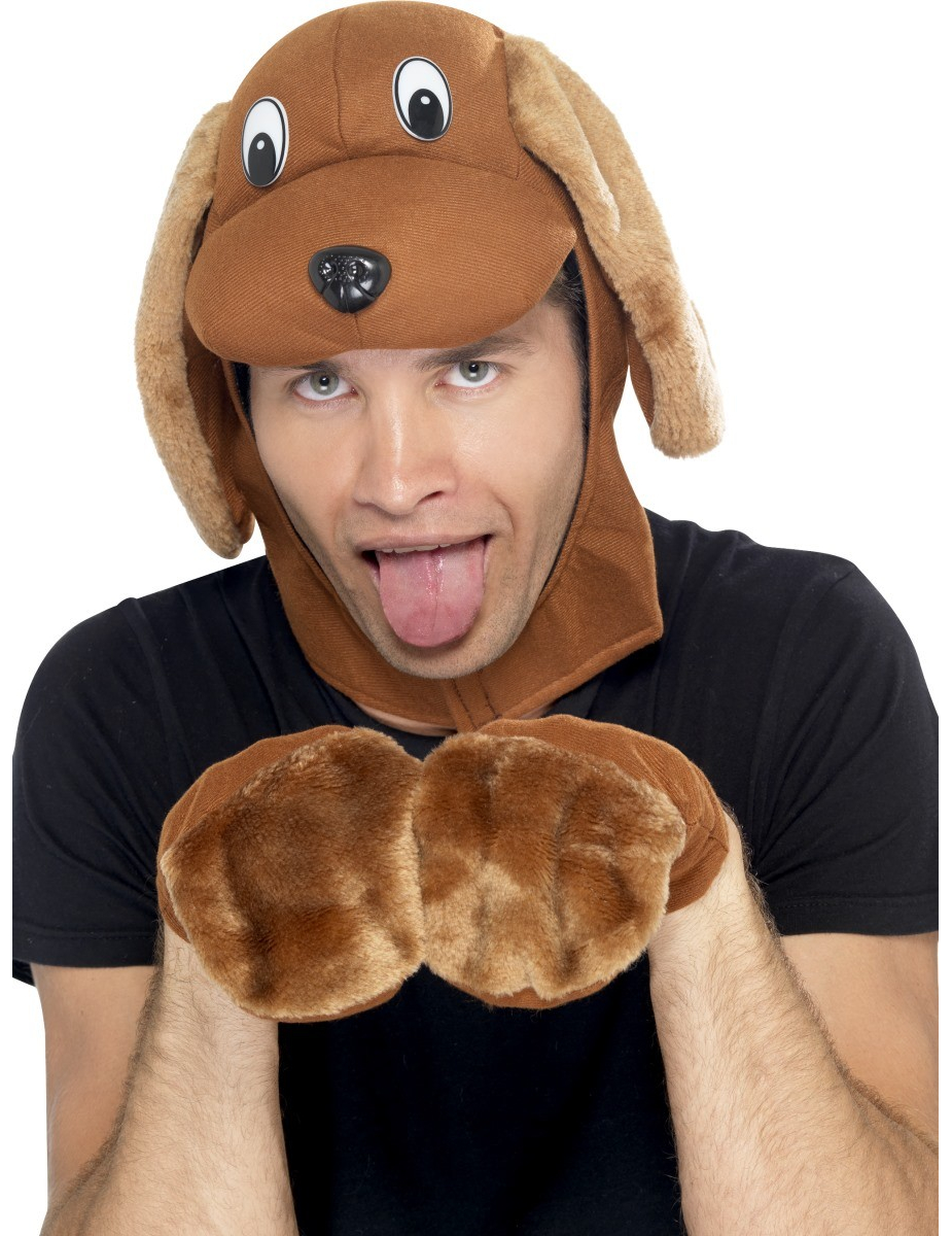 Kit chien adulte